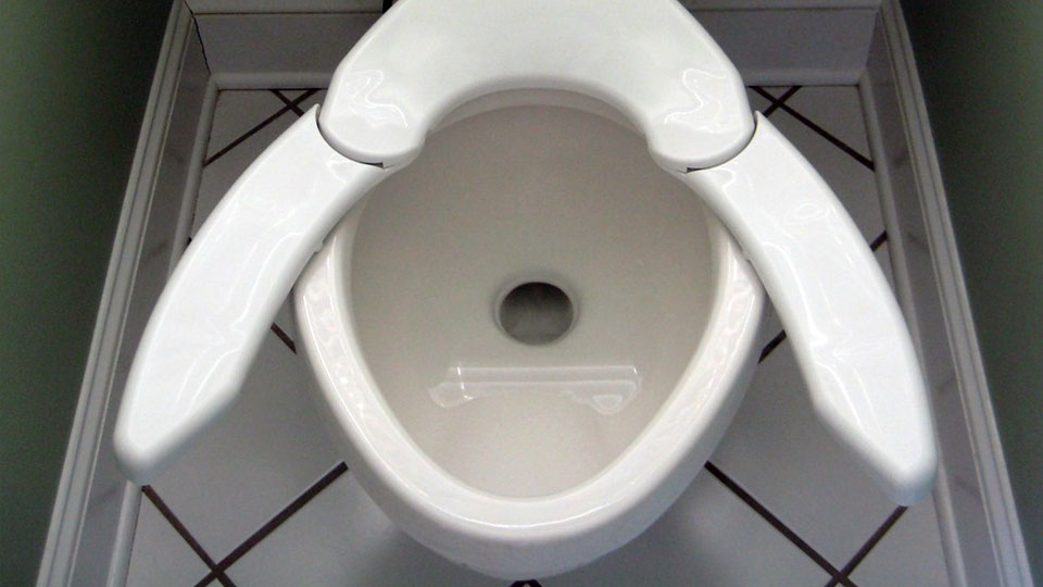 one-size-fits-all-toilet-seat-9480